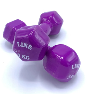 دمبل پنج کیلویی دو عددی لاین line