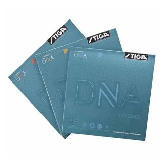 رویه DNA Hybrid M استیگا هیبرید ام